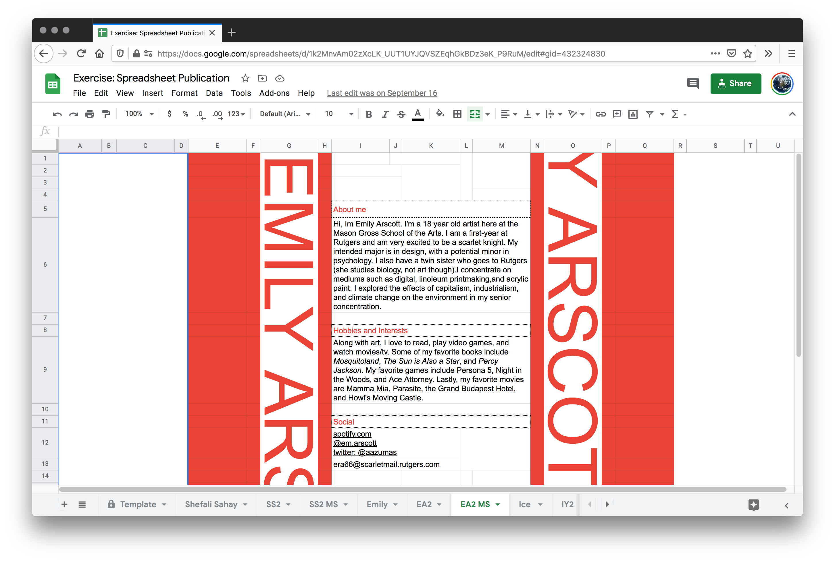 e-spreadsheet-emily